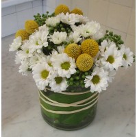 Cheery White Daisy Bouquet